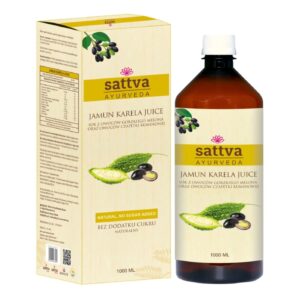 SATTVA SOK Z OWOCÓW MELONA I CZAPETKI 1L