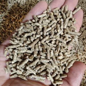 AnimaxKot mini pelets zbrylający 7 litrów , paletka 3mm , WERSJA TESTOWA z Ankietą !!!!