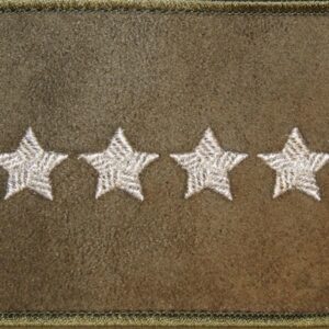 Dystynkcja na kurtkę khaki – starszy chorąży sztabowy