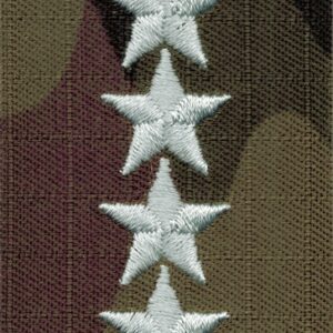 Stopień do furażerki polowej – starszy chorąży sztabowy