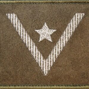 Dystynkcja na kurtkę khaki – młodszy chorąży