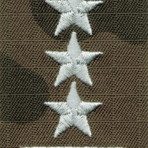 Stopień do furażerki polowej – porucznik