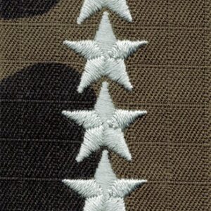 Stopień do furażerki polowej – kapitan