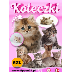 Kotki 1,56zł/szt