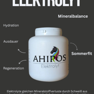 AHIPOS – Elektrolyt