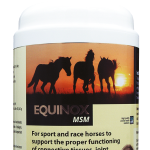 EQUINOX MSM